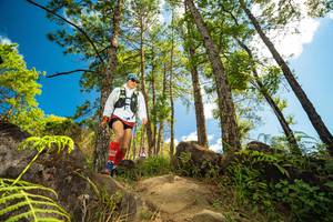 BIB: 
                            <button type="button" onclick="openModal(15966211)" class="btn btn-primary btn-sm float-right btn-popup" data-toggle="modal" data-target=".modal-high-quality">
                        <i class="fas fa-shopping-cart"></i> Add to Cart
                    </button>
                                            <button type="button" onclick="isThisMe(15966211, true)" class="btn btn-success btn-sm float-right btn-popup btn-isme hidden" data-toggle="tooltip" data-placement="bottom" title="นี่คือรูปของคุณใช่ไหม คลิกที่นี่เพื่อเอาเข้าอัลบั้ม">
                        <i class="fas fa-plus"></i> Add to album
                    </button>
                    <button type="button" onclick="isThisMe(15966211, false)" class="btn btn-warning btn-sm float-right btn-popup btn-isnotme hidden">
                        <i class="fas fa-ban"></i> Remove from album
                    </button>