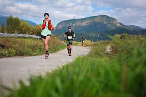 BIB: 1630
                            <button type="button" onclick="openModal(16000241)" class="btn btn-primary btn-sm float-right btn-popup" data-toggle="modal" data-target=".modal-high-quality">
                        <i class="fas fa-shopping-cart"></i> Add to Cart
                    </button>
                                            <button type="button" onclick="isThisMe(16000241, true)" class="btn btn-success btn-sm float-right btn-popup btn-isme hidden" data-toggle="tooltip" data-placement="bottom" title="นี่คือรูปของคุณใช่ไหม คลิกที่นี่เพื่อเอาเข้าอัลบั้ม">
                        <i class="fas fa-plus"></i> Add to album
                    </button>
                    <button type="button" onclick="isThisMe(16000241, false)" class="btn btn-warning btn-sm float-right btn-popup btn-isnotme hidden">
                        <i class="fas fa-ban"></i> Remove from album
                    </button>