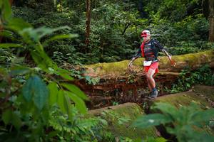 BIB: 
                            <button type="button" onclick="openModal(16016781)" class="btn btn-primary btn-sm float-right btn-popup" data-toggle="modal" data-target=".modal-high-quality">
                        <i class="fas fa-shopping-cart"></i> Add to Cart
                    </button>
                                            <button type="button" onclick="isThisMe(16016781, true)" class="btn btn-success btn-sm float-right btn-popup btn-isme hidden" data-toggle="tooltip" data-placement="bottom" title="นี่คือรูปของคุณใช่ไหม คลิกที่นี่เพื่อเอาเข้าอัลบั้ม">
                        <i class="fas fa-plus"></i> Add to album
                    </button>
                    <button type="button" onclick="isThisMe(16016781, false)" class="btn btn-warning btn-sm float-right btn-popup btn-isnotme hidden">
                        <i class="fas fa-ban"></i> Remove from album
                    </button>