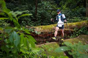 BIB: , 5067
                            <button type="button" onclick="openModal(16016854)" class="btn btn-primary btn-sm float-right btn-popup" data-toggle="modal" data-target=".modal-high-quality">
                        <i class="fas fa-shopping-cart"></i> Add to Cart
                    </button>
                                            <button type="button" onclick="isThisMe(16016854, true)" class="btn btn-success btn-sm float-right btn-popup btn-isme hidden" data-toggle="tooltip" data-placement="bottom" title="นี่คือรูปของคุณใช่ไหม คลิกที่นี่เพื่อเอาเข้าอัลบั้ม">
                        <i class="fas fa-plus"></i> Add to album
                    </button>
                    <button type="button" onclick="isThisMe(16016854, false)" class="btn btn-warning btn-sm float-right btn-popup btn-isnotme hidden">
                        <i class="fas fa-ban"></i> Remove from album
                    </button>