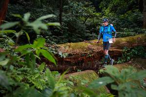 BIB: 075, 5075
                            <button type="button" onclick="openModal(16019004)" class="btn btn-primary btn-sm float-right btn-popup" data-toggle="modal" data-target=".modal-high-quality">
                        <i class="fas fa-shopping-cart"></i> Add to Cart
                    </button>
                                            <button type="button" onclick="isThisMe(16019004, true)" class="btn btn-success btn-sm float-right btn-popup btn-isme hidden" data-toggle="tooltip" data-placement="bottom" title="นี่คือรูปของคุณใช่ไหม คลิกที่นี่เพื่อเอาเข้าอัลบั้ม">
                        <i class="fas fa-plus"></i> Add to album
                    </button>
                    <button type="button" onclick="isThisMe(16019004, false)" class="btn btn-warning btn-sm float-right btn-popup btn-isnotme hidden">
                        <i class="fas fa-ban"></i> Remove from album
                    </button>