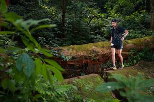 BIB: 
                            <button type="button" onclick="openModal(16016762)" class="btn btn-primary btn-sm float-right btn-popup" data-toggle="modal" data-target=".modal-high-quality">
                        <i class="fas fa-shopping-cart"></i> Add to Cart
                    </button>
                                            <button type="button" onclick="isThisMe(16016762, true)" class="btn btn-success btn-sm float-right btn-popup btn-isme hidden" data-toggle="tooltip" data-placement="bottom" title="นี่คือรูปของคุณใช่ไหม คลิกที่นี่เพื่อเอาเข้าอัลบั้ม">
                        <i class="fas fa-plus"></i> Add to album
                    </button>
                    <button type="button" onclick="isThisMe(16016762, false)" class="btn btn-warning btn-sm float-right btn-popup btn-isnotme hidden">
                        <i class="fas fa-ban"></i> Remove from album
                    </button>