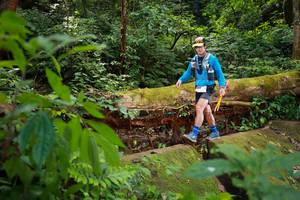 BIB: 5059
                            <button type="button" onclick="openModal(16016905)" class="btn btn-primary btn-sm float-right btn-popup" data-toggle="modal" data-target=".modal-high-quality">
                        <i class="fas fa-shopping-cart"></i> Add to Cart
                    </button>
                                            <button type="button" onclick="isThisMe(16016905, true)" class="btn btn-success btn-sm float-right btn-popup btn-isme hidden" data-toggle="tooltip" data-placement="bottom" title="นี่คือรูปของคุณใช่ไหม คลิกที่นี่เพื่อเอาเข้าอัลบั้ม">
                        <i class="fas fa-plus"></i> Add to album
                    </button>
                    <button type="button" onclick="isThisMe(16016905, false)" class="btn btn-warning btn-sm float-right btn-popup btn-isnotme hidden">
                        <i class="fas fa-ban"></i> Remove from album
                    </button>