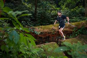 BIB: , 504
                            <button type="button" onclick="openModal(16016764)" class="btn btn-primary btn-sm float-right btn-popup" data-toggle="modal" data-target=".modal-high-quality">
                        <i class="fas fa-shopping-cart"></i> Add to Cart
                    </button>
                                            <button type="button" onclick="isThisMe(16016764, true)" class="btn btn-success btn-sm float-right btn-popup btn-isme hidden" data-toggle="tooltip" data-placement="bottom" title="นี่คือรูปของคุณใช่ไหม คลิกที่นี่เพื่อเอาเข้าอัลบั้ม">
                        <i class="fas fa-plus"></i> Add to album
                    </button>
                    <button type="button" onclick="isThisMe(16016764, false)" class="btn btn-warning btn-sm float-right btn-popup btn-isnotme hidden">
                        <i class="fas fa-ban"></i> Remove from album
                    </button>