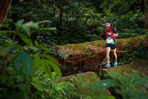 BIB: , 5016
                            <button type="button" onclick="openModal(16016726)" class="btn btn-primary btn-sm float-right btn-popup" data-toggle="modal" data-target=".modal-high-quality">
                        <i class="fas fa-shopping-cart"></i> Add to Cart
                    </button>
                                            <button type="button" onclick="isThisMe(16016726, true)" class="btn btn-success btn-sm float-right btn-popup btn-isme hidden" data-toggle="tooltip" data-placement="bottom" title="นี่คือรูปของคุณใช่ไหม คลิกที่นี่เพื่อเอาเข้าอัลบั้ม">
                        <i class="fas fa-plus"></i> Add to album
                    </button>
                    <button type="button" onclick="isThisMe(16016726, false)" class="btn btn-warning btn-sm float-right btn-popup btn-isnotme hidden">
                        <i class="fas fa-ban"></i> Remove from album
                    </button>