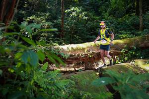 BIB: 5005
                            <button type="button" onclick="openModal(16016409)" class="btn btn-primary btn-sm float-right btn-popup" data-toggle="modal" data-target=".modal-high-quality">
                        <i class="fas fa-shopping-cart"></i> Add to Cart
                    </button>
                                            <button type="button" onclick="isThisMe(16016409, true)" class="btn btn-success btn-sm float-right btn-popup btn-isme hidden" data-toggle="tooltip" data-placement="bottom" title="นี่คือรูปของคุณใช่ไหม คลิกที่นี่เพื่อเอาเข้าอัลบั้ม">
                        <i class="fas fa-plus"></i> Add to album
                    </button>
                    <button type="button" onclick="isThisMe(16016409, false)" class="btn btn-warning btn-sm float-right btn-popup btn-isnotme hidden">
                        <i class="fas fa-ban"></i> Remove from album
                    </button>