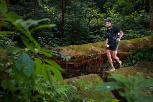 BIB: 
                            <button type="button" onclick="openModal(16016763)" class="btn btn-primary btn-sm float-right btn-popup" data-toggle="modal" data-target=".modal-high-quality">
                        <i class="fas fa-shopping-cart"></i> Add to Cart
                    </button>
                                            <button type="button" onclick="isThisMe(16016763, true)" class="btn btn-success btn-sm float-right btn-popup btn-isme hidden" data-toggle="tooltip" data-placement="bottom" title="นี่คือรูปของคุณใช่ไหม คลิกที่นี่เพื่อเอาเข้าอัลบั้ม">
                        <i class="fas fa-plus"></i> Add to album
                    </button>
                    <button type="button" onclick="isThisMe(16016763, false)" class="btn btn-warning btn-sm float-right btn-popup btn-isnotme hidden">
                        <i class="fas fa-ban"></i> Remove from album
                    </button>