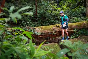 BIB: 5081
                            <button type="button" onclick="openModal(16017168)" class="btn btn-primary btn-sm float-right btn-popup" data-toggle="modal" data-target=".modal-high-quality">
                        <i class="fas fa-shopping-cart"></i> Add to Cart
                    </button>
                                            <button type="button" onclick="isThisMe(16017168, true)" class="btn btn-success btn-sm float-right btn-popup btn-isme hidden" data-toggle="tooltip" data-placement="bottom" title="นี่คือรูปของคุณใช่ไหม คลิกที่นี่เพื่อเอาเข้าอัลบั้ม">
                        <i class="fas fa-plus"></i> Add to album
                    </button>
                    <button type="button" onclick="isThisMe(16017168, false)" class="btn btn-warning btn-sm float-right btn-popup btn-isnotme hidden">
                        <i class="fas fa-ban"></i> Remove from album
                    </button>