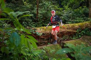 BIB: 
                            <button type="button" onclick="openModal(16016787)" class="btn btn-primary btn-sm float-right btn-popup" data-toggle="modal" data-target=".modal-high-quality">
                        <i class="fas fa-shopping-cart"></i> Add to Cart
                    </button>
                                            <button type="button" onclick="isThisMe(16016787, true)" class="btn btn-success btn-sm float-right btn-popup btn-isme hidden" data-toggle="tooltip" data-placement="bottom" title="นี่คือรูปของคุณใช่ไหม คลิกที่นี่เพื่อเอาเข้าอัลบั้ม">
                        <i class="fas fa-plus"></i> Add to album
                    </button>
                    <button type="button" onclick="isThisMe(16016787, false)" class="btn btn-warning btn-sm float-right btn-popup btn-isnotme hidden">
                        <i class="fas fa-ban"></i> Remove from album
                    </button>