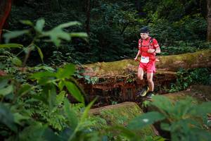 BIB: 5097
                            <button type="button" onclick="openModal(16018902)" class="btn btn-primary btn-sm float-right btn-popup" data-toggle="modal" data-target=".modal-high-quality">
                        <i class="fas fa-shopping-cart"></i> Add to Cart
                    </button>
                                            <button type="button" onclick="isThisMe(16018902, true)" class="btn btn-success btn-sm float-right btn-popup btn-isme hidden" data-toggle="tooltip" data-placement="bottom" title="นี่คือรูปของคุณใช่ไหม คลิกที่นี่เพื่อเอาเข้าอัลบั้ม">
                        <i class="fas fa-plus"></i> Add to album
                    </button>
                    <button type="button" onclick="isThisMe(16018902, false)" class="btn btn-warning btn-sm float-right btn-popup btn-isnotme hidden">
                        <i class="fas fa-ban"></i> Remove from album
                    </button>