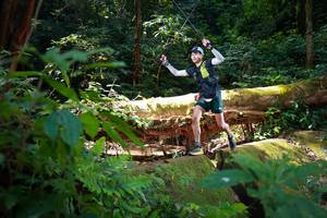 BIB: 
                            <button type="button" onclick="openModal(16016462)" class="btn btn-primary btn-sm float-right btn-popup" data-toggle="modal" data-target=".modal-high-quality">
                        <i class="fas fa-shopping-cart"></i> Add to Cart
                    </button>
                                            <button type="button" onclick="isThisMe(16016462, true)" class="btn btn-success btn-sm float-right btn-popup btn-isme hidden" data-toggle="tooltip" data-placement="bottom" title="นี่คือรูปของคุณใช่ไหม คลิกที่นี่เพื่อเอาเข้าอัลบั้ม">
                        <i class="fas fa-plus"></i> Add to album
                    </button>
                    <button type="button" onclick="isThisMe(16016462, false)" class="btn btn-warning btn-sm float-right btn-popup btn-isnotme hidden">
                        <i class="fas fa-ban"></i> Remove from album
                    </button>