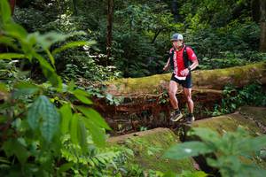 BIB: 
                            <button type="button" onclick="openModal(16016878)" class="btn btn-primary btn-sm float-right btn-popup" data-toggle="modal" data-target=".modal-high-quality">
                        <i class="fas fa-shopping-cart"></i> Add to Cart
                    </button>
                                            <button type="button" onclick="isThisMe(16016878, true)" class="btn btn-success btn-sm float-right btn-popup btn-isme hidden" data-toggle="tooltip" data-placement="bottom" title="นี่คือรูปของคุณใช่ไหม คลิกที่นี่เพื่อเอาเข้าอัลบั้ม">
                        <i class="fas fa-plus"></i> Add to album
                    </button>
                    <button type="button" onclick="isThisMe(16016878, false)" class="btn btn-warning btn-sm float-right btn-popup btn-isnotme hidden">
                        <i class="fas fa-ban"></i> Remove from album
                    </button>