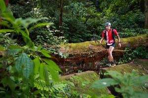 BIB: 
                            <button type="button" onclick="openModal(16016873)" class="btn btn-primary btn-sm float-right btn-popup" data-toggle="modal" data-target=".modal-high-quality">
                        <i class="fas fa-shopping-cart"></i> Add to Cart
                    </button>
                                            <button type="button" onclick="isThisMe(16016873, true)" class="btn btn-success btn-sm float-right btn-popup btn-isme hidden" data-toggle="tooltip" data-placement="bottom" title="นี่คือรูปของคุณใช่ไหม คลิกที่นี่เพื่อเอาเข้าอัลบั้ม">
                        <i class="fas fa-plus"></i> Add to album
                    </button>
                    <button type="button" onclick="isThisMe(16016873, false)" class="btn btn-warning btn-sm float-right btn-popup btn-isnotme hidden">
                        <i class="fas fa-ban"></i> Remove from album
                    </button>