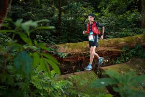 BIB: 5016
                            <button type="button" onclick="openModal(16016735)" class="btn btn-primary btn-sm float-right btn-popup" data-toggle="modal" data-target=".modal-high-quality">
                        <i class="fas fa-shopping-cart"></i> Add to Cart
                    </button>
                                            <button type="button" onclick="isThisMe(16016735, true)" class="btn btn-success btn-sm float-right btn-popup btn-isme hidden" data-toggle="tooltip" data-placement="bottom" title="นี่คือรูปของคุณใช่ไหม คลิกที่นี่เพื่อเอาเข้าอัลบั้ม">
                        <i class="fas fa-plus"></i> Add to album
                    </button>
                    <button type="button" onclick="isThisMe(16016735, false)" class="btn btn-warning btn-sm float-right btn-popup btn-isnotme hidden">
                        <i class="fas fa-ban"></i> Remove from album
                    </button>