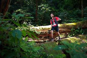 BIB: 
                            <button type="button" onclick="openModal(16016499)" class="btn btn-primary btn-sm float-right btn-popup" data-toggle="modal" data-target=".modal-high-quality">
                        <i class="fas fa-shopping-cart"></i> Add to Cart
                    </button>
                                            <button type="button" onclick="isThisMe(16016499, true)" class="btn btn-success btn-sm float-right btn-popup btn-isme hidden" data-toggle="tooltip" data-placement="bottom" title="นี่คือรูปของคุณใช่ไหม คลิกที่นี่เพื่อเอาเข้าอัลบั้ม">
                        <i class="fas fa-plus"></i> Add to album
                    </button>
                    <button type="button" onclick="isThisMe(16016499, false)" class="btn btn-warning btn-sm float-right btn-popup btn-isnotme hidden">
                        <i class="fas fa-ban"></i> Remove from album
                    </button>