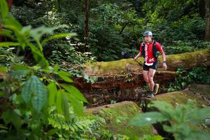 BIB: 
                            <button type="button" onclick="openModal(16016876)" class="btn btn-primary btn-sm float-right btn-popup" data-toggle="modal" data-target=".modal-high-quality">
                        <i class="fas fa-shopping-cart"></i> Add to Cart
                    </button>
                                            <button type="button" onclick="isThisMe(16016876, true)" class="btn btn-success btn-sm float-right btn-popup btn-isme hidden" data-toggle="tooltip" data-placement="bottom" title="นี่คือรูปของคุณใช่ไหม คลิกที่นี่เพื่อเอาเข้าอัลบั้ม">
                        <i class="fas fa-plus"></i> Add to album
                    </button>
                    <button type="button" onclick="isThisMe(16016876, false)" class="btn btn-warning btn-sm float-right btn-popup btn-isnotme hidden">
                        <i class="fas fa-ban"></i> Remove from album
                    </button>