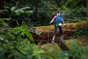 BIB: 
                            <button type="button" onclick="openModal(16019274)" class="btn btn-primary btn-sm float-right btn-popup" data-toggle="modal" data-target=".modal-high-quality">
                        <i class="fas fa-shopping-cart"></i> Add to Cart
                    </button>
                                            <button type="button" onclick="isThisMe(16019274, true)" class="btn btn-success btn-sm float-right btn-popup btn-isme hidden" data-toggle="tooltip" data-placement="bottom" title="นี่คือรูปของคุณใช่ไหม คลิกที่นี่เพื่อเอาเข้าอัลบั้ม">
                        <i class="fas fa-plus"></i> Add to album
                    </button>
                    <button type="button" onclick="isThisMe(16019274, false)" class="btn btn-warning btn-sm float-right btn-popup btn-isnotme hidden">
                        <i class="fas fa-ban"></i> Remove from album
                    </button>