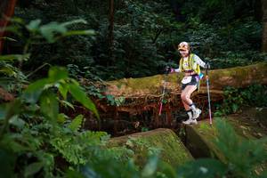 BIB: 
                            <button type="button" onclick="openModal(16019486)" class="btn btn-primary btn-sm float-right btn-popup" data-toggle="modal" data-target=".modal-high-quality">
                        <i class="fas fa-shopping-cart"></i> Add to Cart
                    </button>
                                            <button type="button" onclick="isThisMe(16019486, true)" class="btn btn-success btn-sm float-right btn-popup btn-isme hidden" data-toggle="tooltip" data-placement="bottom" title="นี่คือรูปของคุณใช่ไหม คลิกที่นี่เพื่อเอาเข้าอัลบั้ม">
                        <i class="fas fa-plus"></i> Add to album
                    </button>
                    <button type="button" onclick="isThisMe(16019486, false)" class="btn btn-warning btn-sm float-right btn-popup btn-isnotme hidden">
                        <i class="fas fa-ban"></i> Remove from album
                    </button>