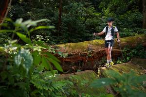 BIB: 
                            <button type="button" onclick="openModal(16016623)" class="btn btn-primary btn-sm float-right btn-popup" data-toggle="modal" data-target=".modal-high-quality">
                        <i class="fas fa-shopping-cart"></i> Add to Cart
                    </button>
                                            <button type="button" onclick="isThisMe(16016623, true)" class="btn btn-success btn-sm float-right btn-popup btn-isme hidden" data-toggle="tooltip" data-placement="bottom" title="นี่คือรูปของคุณใช่ไหม คลิกที่นี่เพื่อเอาเข้าอัลบั้ม">
                        <i class="fas fa-plus"></i> Add to album
                    </button>
                    <button type="button" onclick="isThisMe(16016623, false)" class="btn btn-warning btn-sm float-right btn-popup btn-isnotme hidden">
                        <i class="fas fa-ban"></i> Remove from album
                    </button>