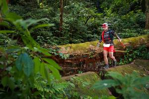 BIB: 5077
                            <button type="button" onclick="openModal(16016775)" class="btn btn-primary btn-sm float-right btn-popup" data-toggle="modal" data-target=".modal-high-quality">
                        <i class="fas fa-shopping-cart"></i> Add to Cart
                    </button>
                                            <button type="button" onclick="isThisMe(16016775, true)" class="btn btn-success btn-sm float-right btn-popup btn-isme hidden" data-toggle="tooltip" data-placement="bottom" title="นี่คือรูปของคุณใช่ไหม คลิกที่นี่เพื่อเอาเข้าอัลบั้ม">
                        <i class="fas fa-plus"></i> Add to album
                    </button>
                    <button type="button" onclick="isThisMe(16016775, false)" class="btn btn-warning btn-sm float-right btn-popup btn-isnotme hidden">
                        <i class="fas fa-ban"></i> Remove from album
                    </button>