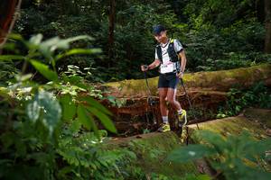 BIB: , 5226
                            <button type="button" onclick="openModal(16016675)" class="btn btn-primary btn-sm float-right btn-popup" data-toggle="modal" data-target=".modal-high-quality">
                        <i class="fas fa-shopping-cart"></i> Add to Cart
                    </button>
                                            <button type="button" onclick="isThisMe(16016675, true)" class="btn btn-success btn-sm float-right btn-popup btn-isme hidden" data-toggle="tooltip" data-placement="bottom" title="นี่คือรูปของคุณใช่ไหม คลิกที่นี่เพื่อเอาเข้าอัลบั้ม">
                        <i class="fas fa-plus"></i> Add to album
                    </button>
                    <button type="button" onclick="isThisMe(16016675, false)" class="btn btn-warning btn-sm float-right btn-popup btn-isnotme hidden">
                        <i class="fas fa-ban"></i> Remove from album
                    </button>