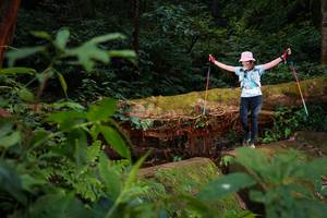 BIB: 
                            <button type="button" onclick="openModal(16018856)" class="btn btn-primary btn-sm float-right btn-popup" data-toggle="modal" data-target=".modal-high-quality">
                        <i class="fas fa-shopping-cart"></i> Add to Cart
                    </button>
                                            <button type="button" onclick="isThisMe(16018856, true)" class="btn btn-success btn-sm float-right btn-popup btn-isme hidden" data-toggle="tooltip" data-placement="bottom" title="นี่คือรูปของคุณใช่ไหม คลิกที่นี่เพื่อเอาเข้าอัลบั้ม">
                        <i class="fas fa-plus"></i> Add to album
                    </button>
                    <button type="button" onclick="isThisMe(16018856, false)" class="btn btn-warning btn-sm float-right btn-popup btn-isnotme hidden">
                        <i class="fas fa-ban"></i> Remove from album
                    </button>