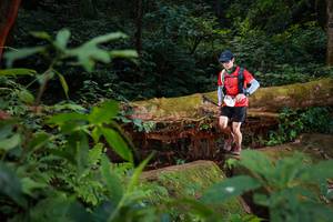 BIB: 5093
                            <button type="button" onclick="openModal(16018918)" class="btn btn-primary btn-sm float-right btn-popup" data-toggle="modal" data-target=".modal-high-quality">
                        <i class="fas fa-shopping-cart"></i> Add to Cart
                    </button>
                                            <button type="button" onclick="isThisMe(16018918, true)" class="btn btn-success btn-sm float-right btn-popup btn-isme hidden" data-toggle="tooltip" data-placement="bottom" title="นี่คือรูปของคุณใช่ไหม คลิกที่นี่เพื่อเอาเข้าอัลบั้ม">
                        <i class="fas fa-plus"></i> Add to album
                    </button>
                    <button type="button" onclick="isThisMe(16018918, false)" class="btn btn-warning btn-sm float-right btn-popup btn-isnotme hidden">
                        <i class="fas fa-ban"></i> Remove from album
                    </button>