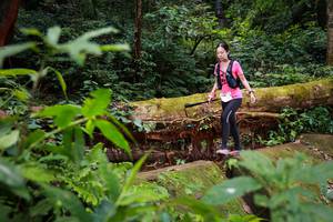 BIB: 5046
                            <button type="button" onclick="openModal(16018555)" class="btn btn-primary btn-sm float-right btn-popup" data-toggle="modal" data-target=".modal-high-quality">
                        <i class="fas fa-shopping-cart"></i> Add to Cart
                    </button>
                                            <button type="button" onclick="isThisMe(16018555, true)" class="btn btn-success btn-sm float-right btn-popup btn-isme hidden" data-toggle="tooltip" data-placement="bottom" title="นี่คือรูปของคุณใช่ไหม คลิกที่นี่เพื่อเอาเข้าอัลบั้ม">
                        <i class="fas fa-plus"></i> Add to album
                    </button>
                    <button type="button" onclick="isThisMe(16018555, false)" class="btn btn-warning btn-sm float-right btn-popup btn-isnotme hidden">
                        <i class="fas fa-ban"></i> Remove from album
                    </button>