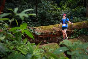 BIB: 6217
                            <button type="button" onclick="openModal(16018977)" class="btn btn-primary btn-sm float-right btn-popup" data-toggle="modal" data-target=".modal-high-quality">
                        <i class="fas fa-shopping-cart"></i> Add to Cart
                    </button>
                                            <button type="button" onclick="isThisMe(16018977, true)" class="btn btn-success btn-sm float-right btn-popup btn-isme hidden" data-toggle="tooltip" data-placement="bottom" title="นี่คือรูปของคุณใช่ไหม คลิกที่นี่เพื่อเอาเข้าอัลบั้ม">
                        <i class="fas fa-plus"></i> Add to album
                    </button>
                    <button type="button" onclick="isThisMe(16018977, false)" class="btn btn-warning btn-sm float-right btn-popup btn-isnotme hidden">
                        <i class="fas fa-ban"></i> Remove from album
                    </button>