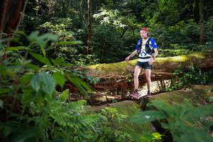 BIB: 
                            <button type="button" onclick="openModal(16016392)" class="btn btn-primary btn-sm float-right btn-popup" data-toggle="modal" data-target=".modal-high-quality">
                        <i class="fas fa-shopping-cart"></i> Add to Cart
                    </button>
                                            <button type="button" onclick="isThisMe(16016392, true)" class="btn btn-success btn-sm float-right btn-popup btn-isme hidden" data-toggle="tooltip" data-placement="bottom" title="นี่คือรูปของคุณใช่ไหม คลิกที่นี่เพื่อเอาเข้าอัลบั้ม">
                        <i class="fas fa-plus"></i> Add to album
                    </button>
                    <button type="button" onclick="isThisMe(16016392, false)" class="btn btn-warning btn-sm float-right btn-popup btn-isnotme hidden">
                        <i class="fas fa-ban"></i> Remove from album
                    </button>