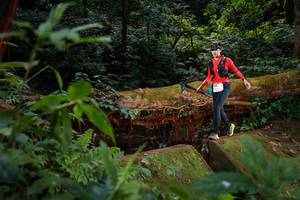 BIB: 5107
                            <button type="button" onclick="openModal(16019230)" class="btn btn-primary btn-sm float-right btn-popup" data-toggle="modal" data-target=".modal-high-quality">
                        <i class="fas fa-shopping-cart"></i> Add to Cart
                    </button>
                                            <button type="button" onclick="isThisMe(16019230, true)" class="btn btn-success btn-sm float-right btn-popup btn-isme hidden" data-toggle="tooltip" data-placement="bottom" title="นี่คือรูปของคุณใช่ไหม คลิกที่นี่เพื่อเอาเข้าอัลบั้ม">
                        <i class="fas fa-plus"></i> Add to album
                    </button>
                    <button type="button" onclick="isThisMe(16019230, false)" class="btn btn-warning btn-sm float-right btn-popup btn-isnotme hidden">
                        <i class="fas fa-ban"></i> Remove from album
                    </button>