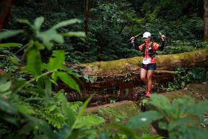 BIB: 5216
                            <button type="button" onclick="openModal(16017460)" class="btn btn-primary btn-sm float-right btn-popup" data-toggle="modal" data-target=".modal-high-quality">
                        <i class="fas fa-shopping-cart"></i> Add to Cart
                    </button>
                                            <button type="button" onclick="isThisMe(16017460, true)" class="btn btn-success btn-sm float-right btn-popup btn-isme hidden" data-toggle="tooltip" data-placement="bottom" title="นี่คือรูปของคุณใช่ไหม คลิกที่นี่เพื่อเอาเข้าอัลบั้ม">
                        <i class="fas fa-plus"></i> Add to album
                    </button>
                    <button type="button" onclick="isThisMe(16017460, false)" class="btn btn-warning btn-sm float-right btn-popup btn-isnotme hidden">
                        <i class="fas fa-ban"></i> Remove from album
                    </button>