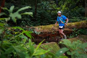 BIB: 042
                            <button type="button" onclick="openModal(16017133)" class="btn btn-primary btn-sm float-right btn-popup" data-toggle="modal" data-target=".modal-high-quality">
                        <i class="fas fa-shopping-cart"></i> Add to Cart
                    </button>
                                            <button type="button" onclick="isThisMe(16017133, true)" class="btn btn-success btn-sm float-right btn-popup btn-isme hidden" data-toggle="tooltip" data-placement="bottom" title="นี่คือรูปของคุณใช่ไหม คลิกที่นี่เพื่อเอาเข้าอัลบั้ม">
                        <i class="fas fa-plus"></i> Add to album
                    </button>
                    <button type="button" onclick="isThisMe(16017133, false)" class="btn btn-warning btn-sm float-right btn-popup btn-isnotme hidden">
                        <i class="fas fa-ban"></i> Remove from album
                    </button>