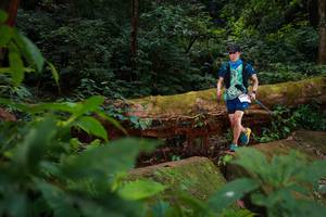 BIB: , 5095
                            <button type="button" onclick="openModal(16017022)" class="btn btn-primary btn-sm float-right btn-popup" data-toggle="modal" data-target=".modal-high-quality">
                        <i class="fas fa-shopping-cart"></i> Add to Cart
                    </button>
                                            <button type="button" onclick="isThisMe(16017022, true)" class="btn btn-success btn-sm float-right btn-popup btn-isme hidden" data-toggle="tooltip" data-placement="bottom" title="นี่คือรูปของคุณใช่ไหม คลิกที่นี่เพื่อเอาเข้าอัลบั้ม">
                        <i class="fas fa-plus"></i> Add to album
                    </button>
                    <button type="button" onclick="isThisMe(16017022, false)" class="btn btn-warning btn-sm float-right btn-popup btn-isnotme hidden">
                        <i class="fas fa-ban"></i> Remove from album
                    </button>