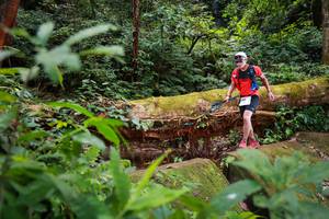 BIB: 5069
                            <button type="button" onclick="openModal(16017216)" class="btn btn-primary btn-sm float-right btn-popup" data-toggle="modal" data-target=".modal-high-quality">
                        <i class="fas fa-shopping-cart"></i> Add to Cart
                    </button>
                                            <button type="button" onclick="isThisMe(16017216, true)" class="btn btn-success btn-sm float-right btn-popup btn-isme hidden" data-toggle="tooltip" data-placement="bottom" title="นี่คือรูปของคุณใช่ไหม คลิกที่นี่เพื่อเอาเข้าอัลบั้ม">
                        <i class="fas fa-plus"></i> Add to album
                    </button>
                    <button type="button" onclick="isThisMe(16017216, false)" class="btn btn-warning btn-sm float-right btn-popup btn-isnotme hidden">
                        <i class="fas fa-ban"></i> Remove from album
                    </button>