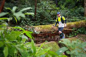 BIB: 5056
                            <button type="button" onclick="openModal(16017311)" class="btn btn-primary btn-sm float-right btn-popup" data-toggle="modal" data-target=".modal-high-quality">
                        <i class="fas fa-shopping-cart"></i> Add to Cart
                    </button>
                                            <button type="button" onclick="isThisMe(16017311, true)" class="btn btn-success btn-sm float-right btn-popup btn-isme hidden" data-toggle="tooltip" data-placement="bottom" title="นี่คือรูปของคุณใช่ไหม คลิกที่นี่เพื่อเอาเข้าอัลบั้ม">
                        <i class="fas fa-plus"></i> Add to album
                    </button>
                    <button type="button" onclick="isThisMe(16017311, false)" class="btn btn-warning btn-sm float-right btn-popup btn-isnotme hidden">
                        <i class="fas fa-ban"></i> Remove from album
                    </button>