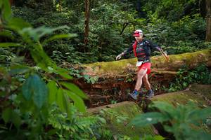 BIB: 
                            <button type="button" onclick="openModal(16016784)" class="btn btn-primary btn-sm float-right btn-popup" data-toggle="modal" data-target=".modal-high-quality">
                        <i class="fas fa-shopping-cart"></i> Add to Cart
                    </button>
                                            <button type="button" onclick="isThisMe(16016784, true)" class="btn btn-success btn-sm float-right btn-popup btn-isme hidden" data-toggle="tooltip" data-placement="bottom" title="นี่คือรูปของคุณใช่ไหม คลิกที่นี่เพื่อเอาเข้าอัลบั้ม">
                        <i class="fas fa-plus"></i> Add to album
                    </button>
                    <button type="button" onclick="isThisMe(16016784, false)" class="btn btn-warning btn-sm float-right btn-popup btn-isnotme hidden">
                        <i class="fas fa-ban"></i> Remove from album
                    </button>