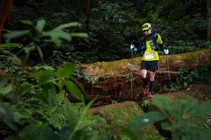 BIB: 5068
                            <button type="button" onclick="openModal(16018784)" class="btn btn-primary btn-sm float-right btn-popup" data-toggle="modal" data-target=".modal-high-quality">
                        <i class="fas fa-shopping-cart"></i> Add to Cart
                    </button>
                                            <button type="button" onclick="isThisMe(16018784, true)" class="btn btn-success btn-sm float-right btn-popup btn-isme hidden" data-toggle="tooltip" data-placement="bottom" title="นี่คือรูปของคุณใช่ไหม คลิกที่นี่เพื่อเอาเข้าอัลบั้ม">
                        <i class="fas fa-plus"></i> Add to album
                    </button>
                    <button type="button" onclick="isThisMe(16018784, false)" class="btn btn-warning btn-sm float-right btn-popup btn-isnotme hidden">
                        <i class="fas fa-ban"></i> Remove from album
                    </button>