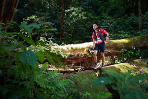 BIB: 
                            <button type="button" onclick="openModal(16016488)" class="btn btn-primary btn-sm float-right btn-popup" data-toggle="modal" data-target=".modal-high-quality">
                        <i class="fas fa-shopping-cart"></i> Add to Cart
                    </button>
                                            <button type="button" onclick="isThisMe(16016488, true)" class="btn btn-success btn-sm float-right btn-popup btn-isme hidden" data-toggle="tooltip" data-placement="bottom" title="นี่คือรูปของคุณใช่ไหม คลิกที่นี่เพื่อเอาเข้าอัลบั้ม">
                        <i class="fas fa-plus"></i> Add to album
                    </button>
                    <button type="button" onclick="isThisMe(16016488, false)" class="btn btn-warning btn-sm float-right btn-popup btn-isnotme hidden">
                        <i class="fas fa-ban"></i> Remove from album
                    </button>