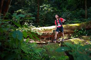 BIB: 
                            <button type="button" onclick="openModal(16016491)" class="btn btn-primary btn-sm float-right btn-popup" data-toggle="modal" data-target=".modal-high-quality">
                        <i class="fas fa-shopping-cart"></i> Add to Cart
                    </button>
                                            <button type="button" onclick="isThisMe(16016491, true)" class="btn btn-success btn-sm float-right btn-popup btn-isme hidden" data-toggle="tooltip" data-placement="bottom" title="นี่คือรูปของคุณใช่ไหม คลิกที่นี่เพื่อเอาเข้าอัลบั้ม">
                        <i class="fas fa-plus"></i> Add to album
                    </button>
                    <button type="button" onclick="isThisMe(16016491, false)" class="btn btn-warning btn-sm float-right btn-popup btn-isnotme hidden">
                        <i class="fas fa-ban"></i> Remove from album
                    </button>