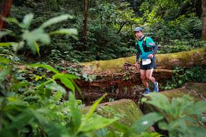 BIB: 5081
                            <button type="button" onclick="openModal(16017165)" class="btn btn-primary btn-sm float-right btn-popup" data-toggle="modal" data-target=".modal-high-quality">
                        <i class="fas fa-shopping-cart"></i> Add to Cart
                    </button>
                                            <button type="button" onclick="isThisMe(16017165, true)" class="btn btn-success btn-sm float-right btn-popup btn-isme hidden" data-toggle="tooltip" data-placement="bottom" title="นี่คือรูปของคุณใช่ไหม คลิกที่นี่เพื่อเอาเข้าอัลบั้ม">
                        <i class="fas fa-plus"></i> Add to album
                    </button>
                    <button type="button" onclick="isThisMe(16017165, false)" class="btn btn-warning btn-sm float-right btn-popup btn-isnotme hidden">
                        <i class="fas fa-ban"></i> Remove from album
                    </button>