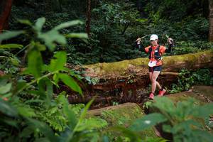 BIB: 5216
                            <button type="button" onclick="openModal(16017457)" class="btn btn-primary btn-sm float-right btn-popup" data-toggle="modal" data-target=".modal-high-quality">
                        <i class="fas fa-shopping-cart"></i> Add to Cart
                    </button>
                                            <button type="button" onclick="isThisMe(16017457, true)" class="btn btn-success btn-sm float-right btn-popup btn-isme hidden" data-toggle="tooltip" data-placement="bottom" title="นี่คือรูปของคุณใช่ไหม คลิกที่นี่เพื่อเอาเข้าอัลบั้ม">
                        <i class="fas fa-plus"></i> Add to album
                    </button>
                    <button type="button" onclick="isThisMe(16017457, false)" class="btn btn-warning btn-sm float-right btn-popup btn-isnotme hidden">
                        <i class="fas fa-ban"></i> Remove from album
                    </button>