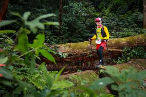 BIB: 527
                            <button type="button" onclick="openModal(16017382)" class="btn btn-primary btn-sm float-right btn-popup" data-toggle="modal" data-target=".modal-high-quality">
                        <i class="fas fa-shopping-cart"></i> Add to Cart
                    </button>
                                            <button type="button" onclick="isThisMe(16017382, true)" class="btn btn-success btn-sm float-right btn-popup btn-isme hidden" data-toggle="tooltip" data-placement="bottom" title="นี่คือรูปของคุณใช่ไหม คลิกที่นี่เพื่อเอาเข้าอัลบั้ม">
                        <i class="fas fa-plus"></i> Add to album
                    </button>
                    <button type="button" onclick="isThisMe(16017382, false)" class="btn btn-warning btn-sm float-right btn-popup btn-isnotme hidden">
                        <i class="fas fa-ban"></i> Remove from album
                    </button>