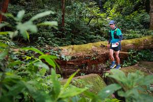 BIB: 5081
                            <button type="button" onclick="openModal(16017162)" class="btn btn-primary btn-sm float-right btn-popup" data-toggle="modal" data-target=".modal-high-quality">
                        <i class="fas fa-shopping-cart"></i> Add to Cart
                    </button>
                                            <button type="button" onclick="isThisMe(16017162, true)" class="btn btn-success btn-sm float-right btn-popup btn-isme hidden" data-toggle="tooltip" data-placement="bottom" title="นี่คือรูปของคุณใช่ไหม คลิกที่นี่เพื่อเอาเข้าอัลบั้ม">
                        <i class="fas fa-plus"></i> Add to album
                    </button>
                    <button type="button" onclick="isThisMe(16017162, false)" class="btn btn-warning btn-sm float-right btn-popup btn-isnotme hidden">
                        <i class="fas fa-ban"></i> Remove from album
                    </button>