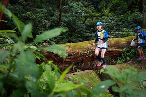 BIB: 182
                            <button type="button" onclick="openModal(16017073)" class="btn btn-primary btn-sm float-right btn-popup" data-toggle="modal" data-target=".modal-high-quality">
                        <i class="fas fa-shopping-cart"></i> Add to Cart
                    </button>
                                            <button type="button" onclick="isThisMe(16017073, true)" class="btn btn-success btn-sm float-right btn-popup btn-isme hidden" data-toggle="tooltip" data-placement="bottom" title="นี่คือรูปของคุณใช่ไหม คลิกที่นี่เพื่อเอาเข้าอัลบั้ม">
                        <i class="fas fa-plus"></i> Add to album
                    </button>
                    <button type="button" onclick="isThisMe(16017073, false)" class="btn btn-warning btn-sm float-right btn-popup btn-isnotme hidden">
                        <i class="fas fa-ban"></i> Remove from album
                    </button>