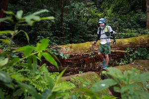 BIB: 5128
                            <button type="button" onclick="openModal(16017684)" class="btn btn-primary btn-sm float-right btn-popup" data-toggle="modal" data-target=".modal-high-quality">
                        <i class="fas fa-shopping-cart"></i> Add to Cart
                    </button>
                                            <button type="button" onclick="isThisMe(16017684, true)" class="btn btn-success btn-sm float-right btn-popup btn-isme hidden" data-toggle="tooltip" data-placement="bottom" title="นี่คือรูปของคุณใช่ไหม คลิกที่นี่เพื่อเอาเข้าอัลบั้ม">
                        <i class="fas fa-plus"></i> Add to album
                    </button>
                    <button type="button" onclick="isThisMe(16017684, false)" class="btn btn-warning btn-sm float-right btn-popup btn-isnotme hidden">
                        <i class="fas fa-ban"></i> Remove from album
                    </button>