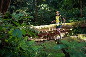 BIB: 5005
                            <button type="button" onclick="openModal(16016421)" class="btn btn-primary btn-sm float-right btn-popup" data-toggle="modal" data-target=".modal-high-quality">
                        <i class="fas fa-shopping-cart"></i> Add to Cart
                    </button>
                                            <button type="button" onclick="isThisMe(16016421, true)" class="btn btn-success btn-sm float-right btn-popup btn-isme hidden" data-toggle="tooltip" data-placement="bottom" title="นี่คือรูปของคุณใช่ไหม คลิกที่นี่เพื่อเอาเข้าอัลบั้ม">
                        <i class="fas fa-plus"></i> Add to album
                    </button>
                    <button type="button" onclick="isThisMe(16016421, false)" class="btn btn-warning btn-sm float-right btn-popup btn-isnotme hidden">
                        <i class="fas fa-ban"></i> Remove from album
                    </button>