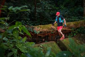 BIB: 
                            <button type="button" onclick="openModal(16019503)" class="btn btn-primary btn-sm float-right btn-popup" data-toggle="modal" data-target=".modal-high-quality">
                        <i class="fas fa-shopping-cart"></i> Add to Cart
                    </button>
                                            <button type="button" onclick="isThisMe(16019503, true)" class="btn btn-success btn-sm float-right btn-popup btn-isme hidden" data-toggle="tooltip" data-placement="bottom" title="นี่คือรูปของคุณใช่ไหม คลิกที่นี่เพื่อเอาเข้าอัลบั้ม">
                        <i class="fas fa-plus"></i> Add to album
                    </button>
                    <button type="button" onclick="isThisMe(16019503, false)" class="btn btn-warning btn-sm float-right btn-popup btn-isnotme hidden">
                        <i class="fas fa-ban"></i> Remove from album
                    </button>