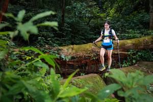 BIB: 295, 5065
                            <button type="button" onclick="openModal(16017091)" class="btn btn-primary btn-sm float-right btn-popup" data-toggle="modal" data-target=".modal-high-quality">
                        <i class="fas fa-shopping-cart"></i> Add to Cart
                    </button>
                                            <button type="button" onclick="isThisMe(16017091, true)" class="btn btn-success btn-sm float-right btn-popup btn-isme hidden" data-toggle="tooltip" data-placement="bottom" title="นี่คือรูปของคุณใช่ไหม คลิกที่นี่เพื่อเอาเข้าอัลบั้ม">
                        <i class="fas fa-plus"></i> Add to album
                    </button>
                    <button type="button" onclick="isThisMe(16017091, false)" class="btn btn-warning btn-sm float-right btn-popup btn-isnotme hidden">
                        <i class="fas fa-ban"></i> Remove from album
                    </button>