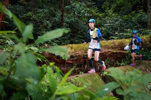 BIB: 5117, 182
                            <button type="button" onclick="openModal(16017083)" class="btn btn-primary btn-sm float-right btn-popup" data-toggle="modal" data-target=".modal-high-quality">
                        <i class="fas fa-shopping-cart"></i> Add to Cart
                    </button>
                                            <button type="button" onclick="isThisMe(16017083, true)" class="btn btn-success btn-sm float-right btn-popup btn-isme hidden" data-toggle="tooltip" data-placement="bottom" title="นี่คือรูปของคุณใช่ไหม คลิกที่นี่เพื่อเอาเข้าอัลบั้ม">
                        <i class="fas fa-plus"></i> Add to album
                    </button>
                    <button type="button" onclick="isThisMe(16017083, false)" class="btn btn-warning btn-sm float-right btn-popup btn-isnotme hidden">
                        <i class="fas fa-ban"></i> Remove from album
                    </button>